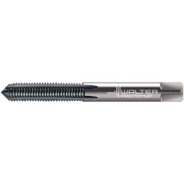 WALTER PROTOTYP 5079714 M5X0.80 MODIFIED BOTTOMING RH 6H TICN SO