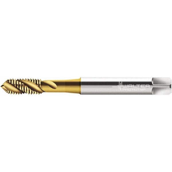 WALTER PROTOTYP 6244493 M2.5X0.45 METRIC 3 FLUTE 6G MODIFIED BOT