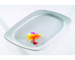 BAUSCHERHEPP T652129 PLATTER RECT 11-2/5X7-9/10" SOLUTION WHT
