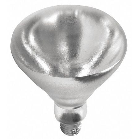 SHAT-R-SHIELD 01697W BULB HEAT LAMP SHTRPRF CLR 250W