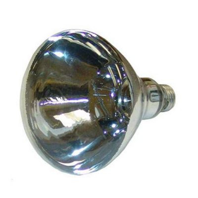 NEMCO 45376 BULB 250W WHT