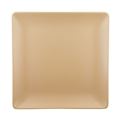 ELITE GLOBAL SOLUTIONS ECO1111SQ-PB PLATE SQR 11" GREENOVATIONS PAPER BAG