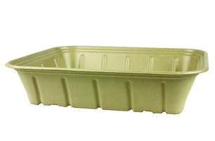 WORLD CENTRIC CA-SC-120L-LF TRAY 120 OZ FIBER