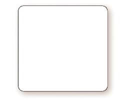 NATIONAL CHECKING DCG-P22-4 LABEL ROLL 2X2" 750 CT SQR BLANK