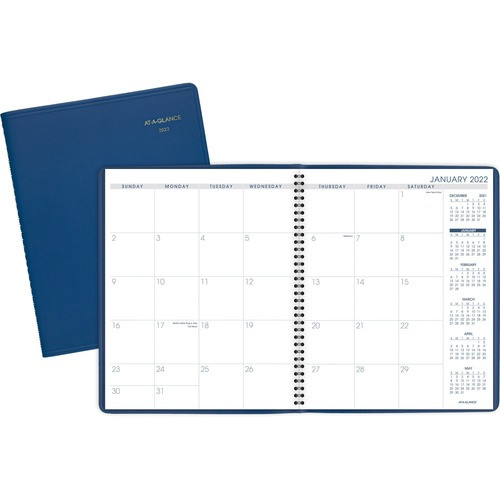 AT-A-GLANCE 7025020 MONTHLY APPOINTMENT PLANNER