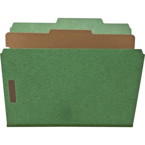 NATURE SAVER SP17203 CLASSIFICATION FOLDERS,LETTER,10/BX,GN