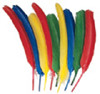 CHENILLE KRAFT COMPANY CK-4503 QUILL FEATHERS BONUS BAG OF 24