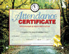 FLIPSIDE H-VA680 CERTIFICATES ATTENDANCE 30 PK8.5 X 11 IN