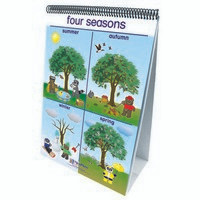 NEW PATH LEARNING NP-340024 FLIP CHARTS WEATHER & SKY EARLYCHILDHOOD