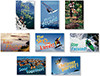 NORTH STAR TEACHER RESOURCE 3022 EXTREME MOTIVATORS BB SET