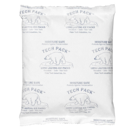 TECH PACK IBMS16 MOISTURE SAFE FILM POUCHES,6 1/4" X 6”