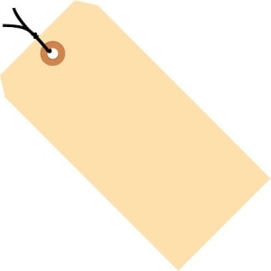 BOX PARTNERS G30053 SHIPPING TAGS, 4 3/4" X 2 3/8", 10 PT