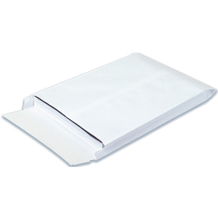 QUALITY PARK SLE10131WE ENVELOPES,10"X13"X1 1/2",CASE OF 100