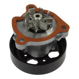 ALTROM CHEMICALS 1520707 WATER PUMP
