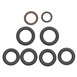 ECHLIN 212304 FUEL RAIL O-RING KIT