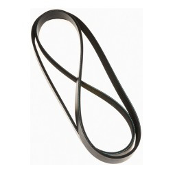 NAPA BELTS & HOSES 25060822 V-RIBBED BELT