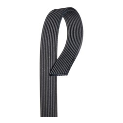 NAPA BELTS & HOSES 25D100672 V-RIBBED BELT