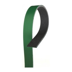NAPA BELTS & HOSES 25081015HD V-RIBBED BELT