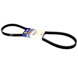 NAPA BELTS & HOSES 25D060729 DUAL SIDE SERP/BLT