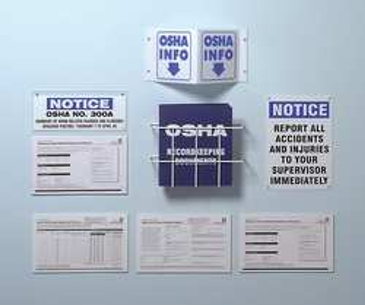 BRADY SPC ABSORBENTS OR301E FORMS OSHA NO.301 PK 25