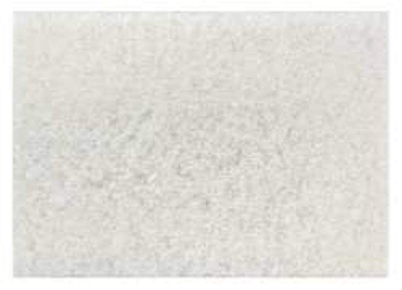 3M 4100-20x14 POLISHING PAD 20 IN X 14 IN WHITE PK 10