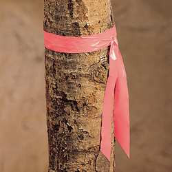 PRESCO PRODUCTS CO TF1P-188 TAFFETA FLAGGING TAPE PINK 300 FT X 1 IN
