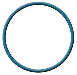 DETECTO #010 Buna FDA-Buz-XR X-RAY O-RING,DASH 010,BUNA N,0.07 IN.