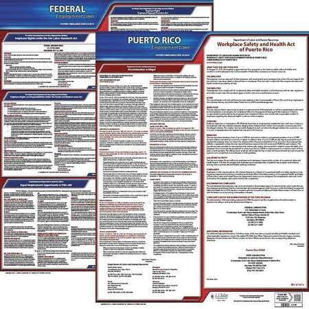 JJ KELLER 100-PR-K LABOR LAW POSTER KIT PR ENGLISH 19 IN W
