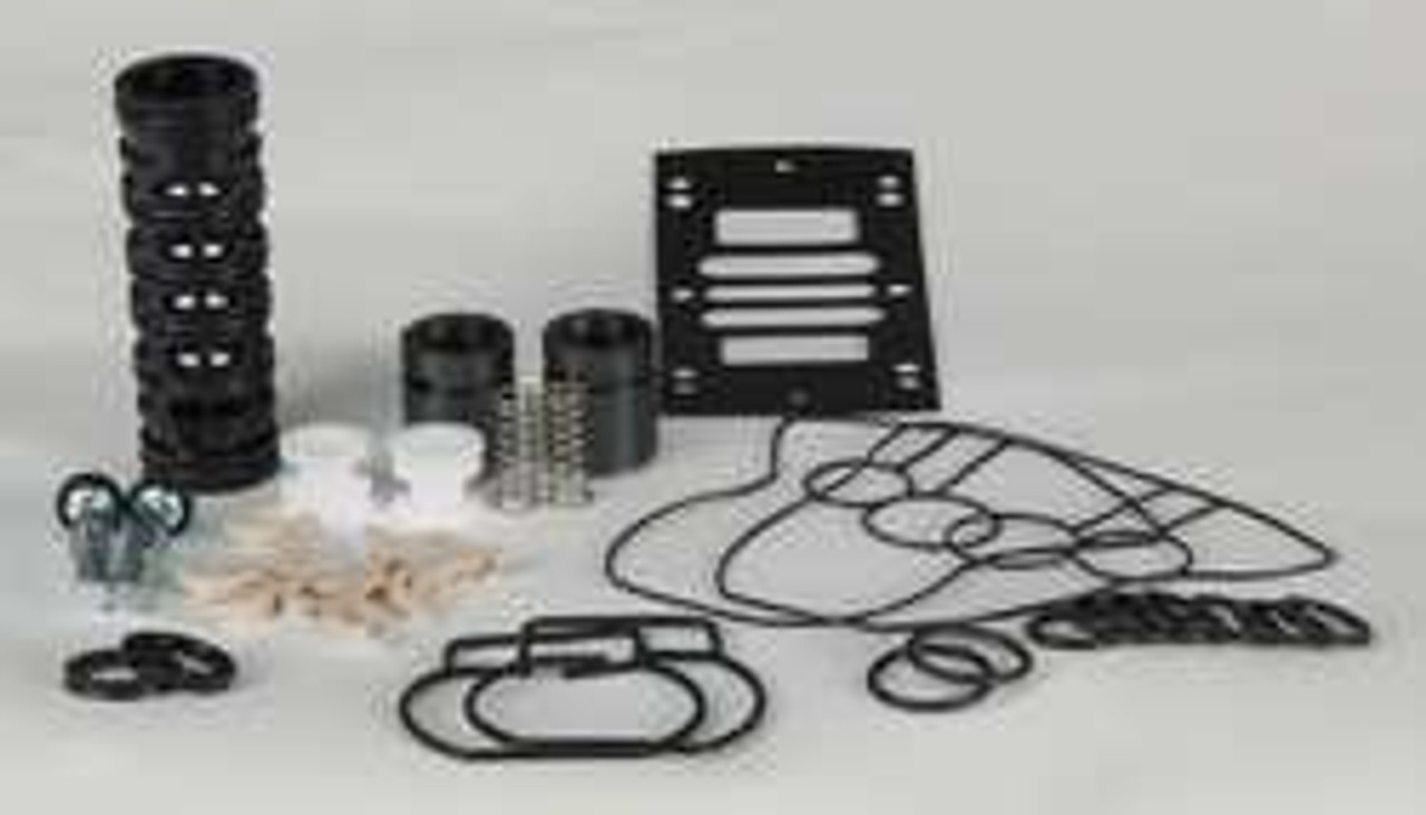 DAYTON 22A618 PUMP REPAIR KIT BUNA N AIR 1 IN.
