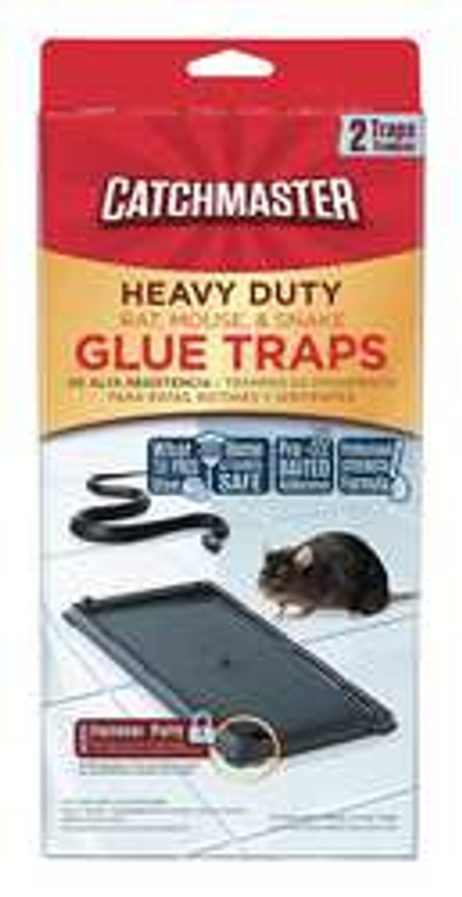 CATCHMASTER 404SD GLUE TRAP 10-1/4 IN L 5-7/32 IN W PK 2