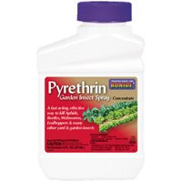 BONIDE PRODUCTS 858 PYRETHRIN CONCENTRATE PINT    