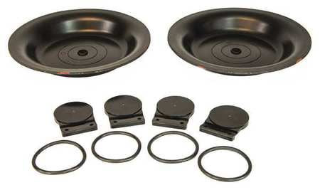 DAYTON 34TJ48 REPAIR PUMP KIT AIR OPERATED BUNA N