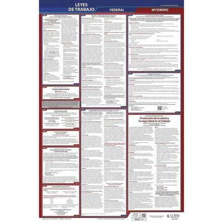 JJ KELLER 400-WY LABOR LAW POSTER FED/STA WY SP 40WX26INH