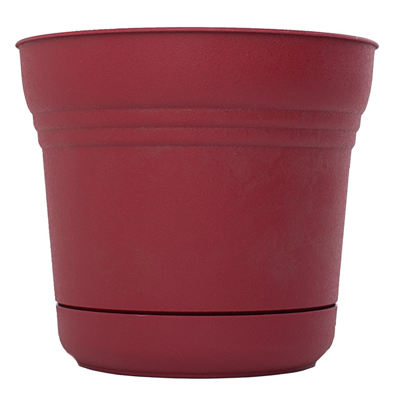 BLOEM LLC SP0512 PLANTER 5IN UNION RED SATURN  
