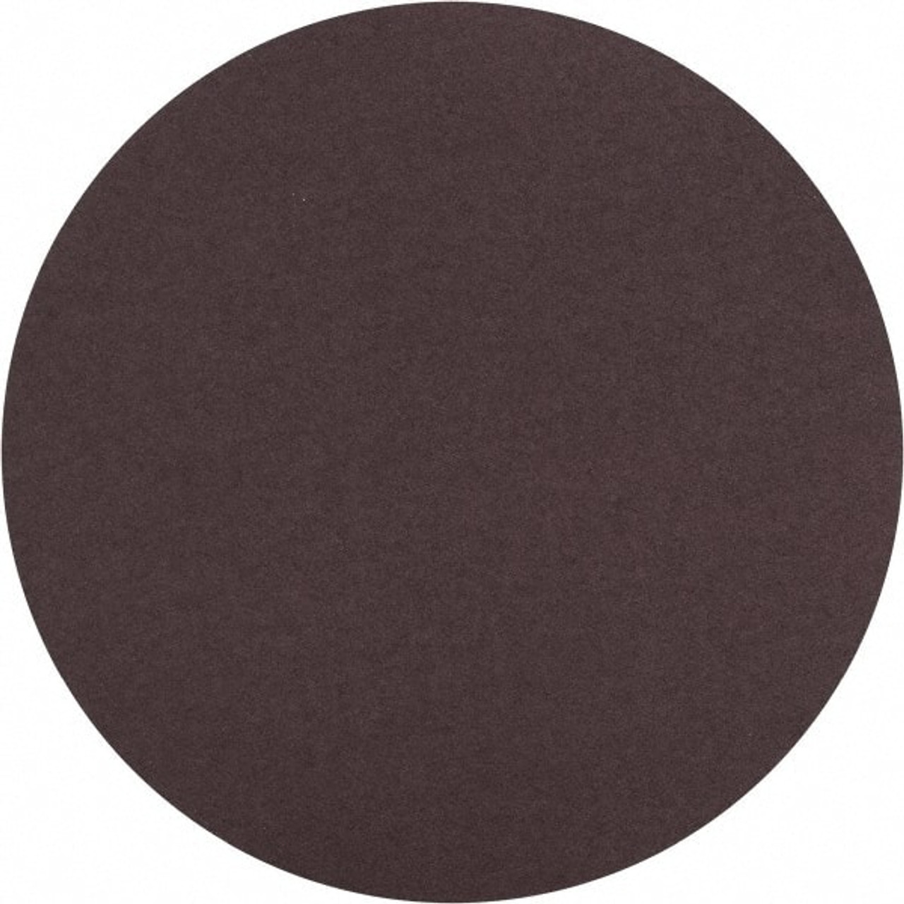NORTON 66261136600 10" DIAM, 100 GRIT ALUMINUM OXIDE ADHESI