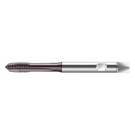 WALTER PROTOTYP S2021302-M5 SPIRAL POINT TAP M5X0.8 HSS