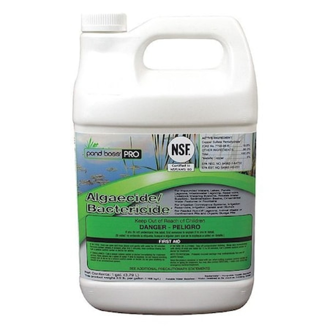 POND BOSS 54289 POND ALGAECIDE BACTERICIDE 1 GAL LIQUID