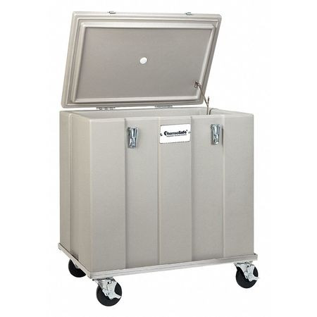 THERMOSAFE 301 INSULATED SHIPPING CONTAINER