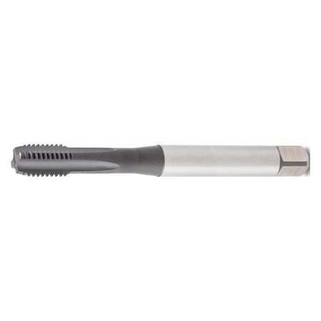 WIDIA GTD GT425004 STRAIGHT FLUTE TAP M10X1.5 HSS-E