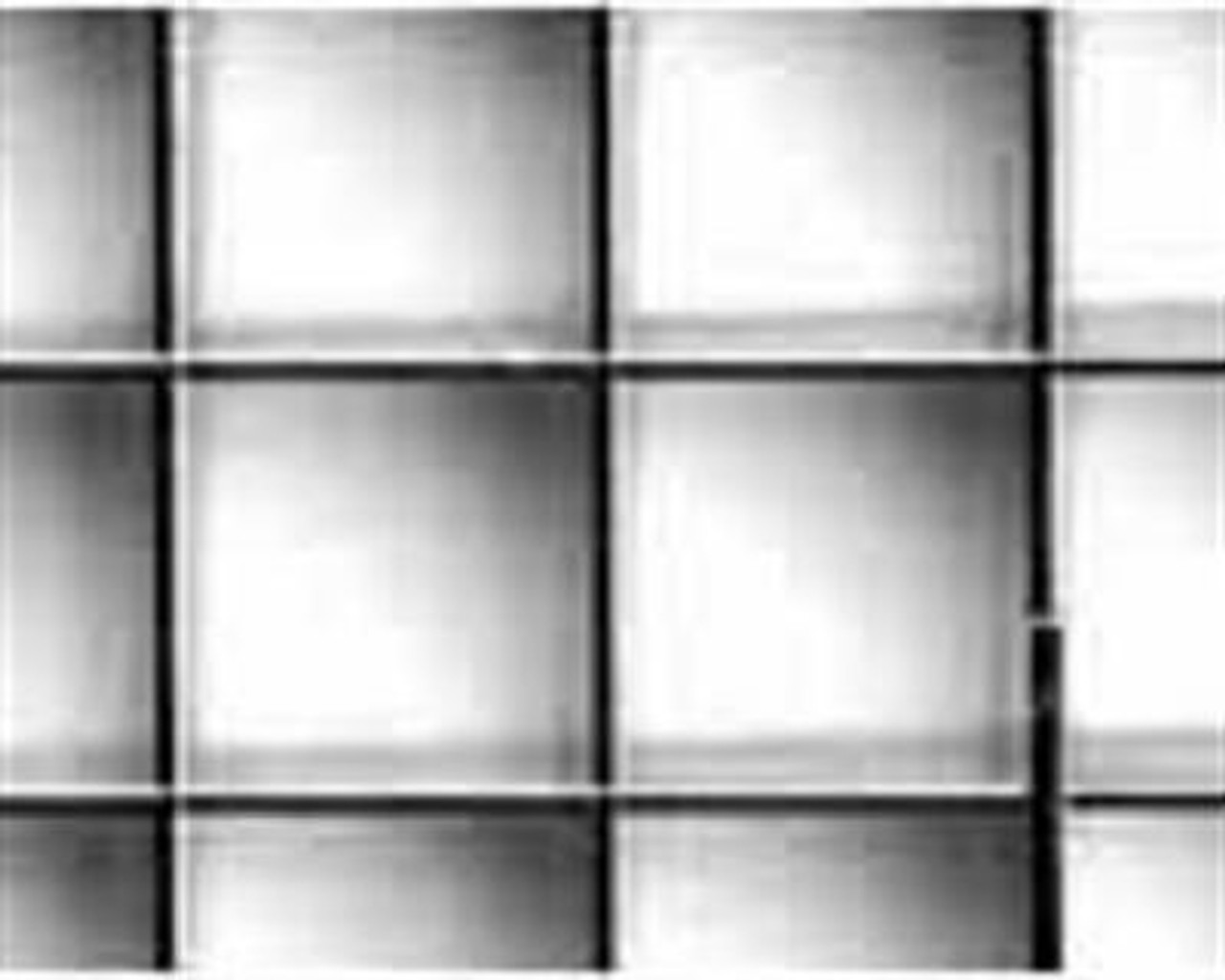 PLASKOLITE INC 1199234A EGG CRATE LIGHTING DIFFUSER, SILVER, 2 X