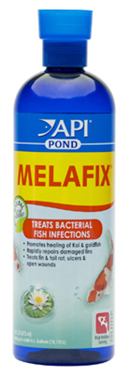 MARS FISHCARE NORTH AMERICA 176B MELAFIX POND FISH BACTERIAL INFECTION RE MARS FISHCARE NORTH AMERICA 176B MELAFIX POND FISH BACTERIAL INFECTION RE