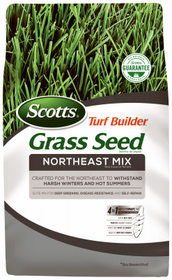 THE SCOTTS MIRACLE-GRO 17930 TURF BUILDER NORTHEAST GRASS SEED MIX, 3