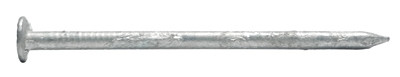 MAZE NAILS HD8-5 M61 5LB 2.5"8D WHT CEM NAIL