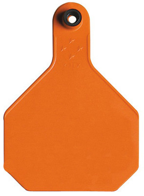 ANIMAL HEALTH INTERNATIONAL 12676453 ALL AMERICAN LIVESTOCK TAG, BLANK, LARGE