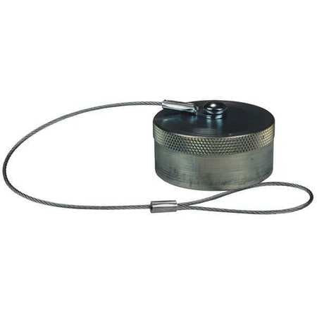 DIXON VALVE  COUPLING W8DC WSERIES WINGSTYLE DUST CAP 1 