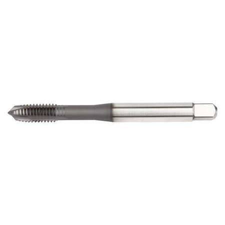 WIDIA GTD VTSPO6558 TAP,M12X1.25