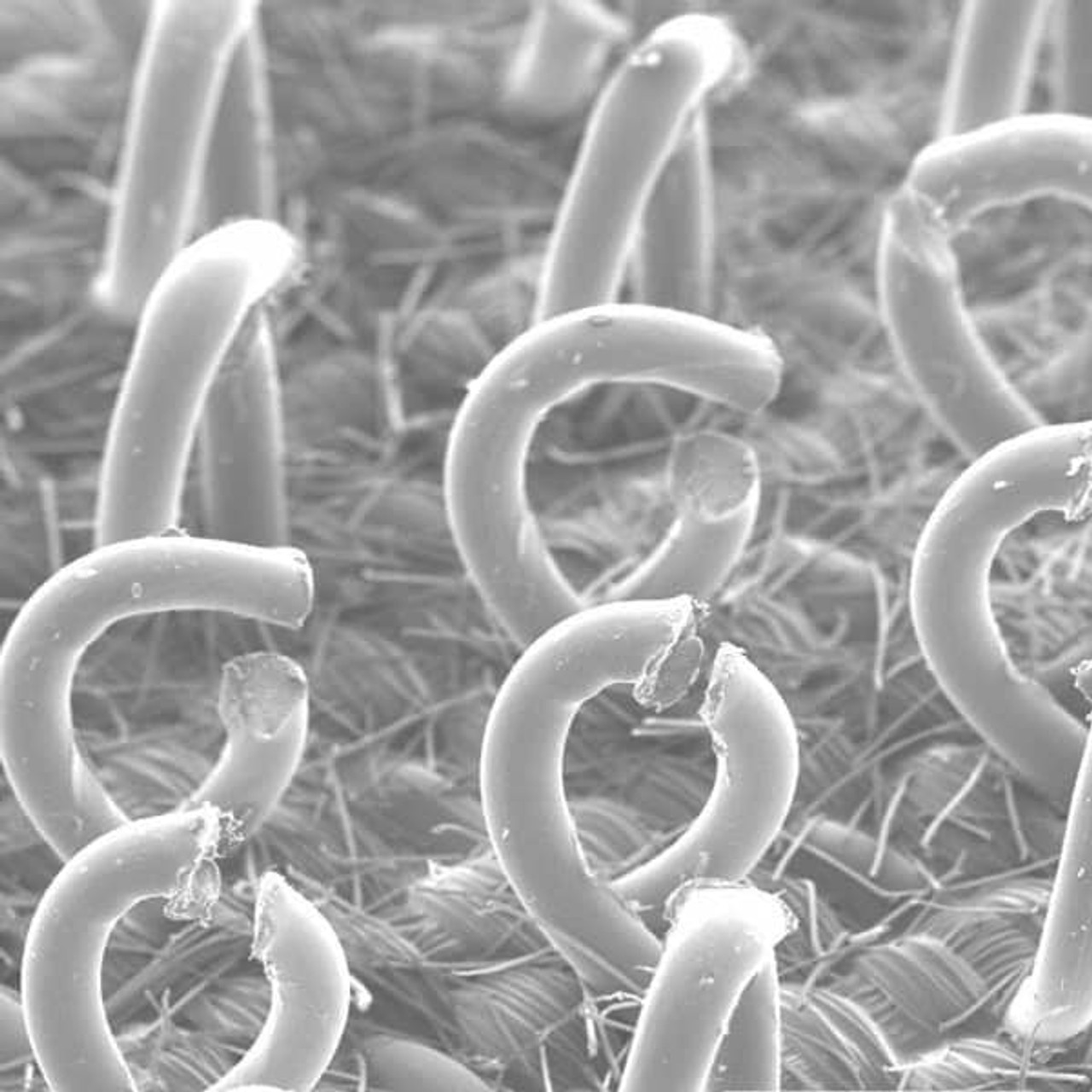 3M 7100005497 3M(TM) CLEAN SANDING SOFT INTERFACE DISC 3M 7100005497 3M(TM) CLEAN SANDING SOFT INTERFACE DISC