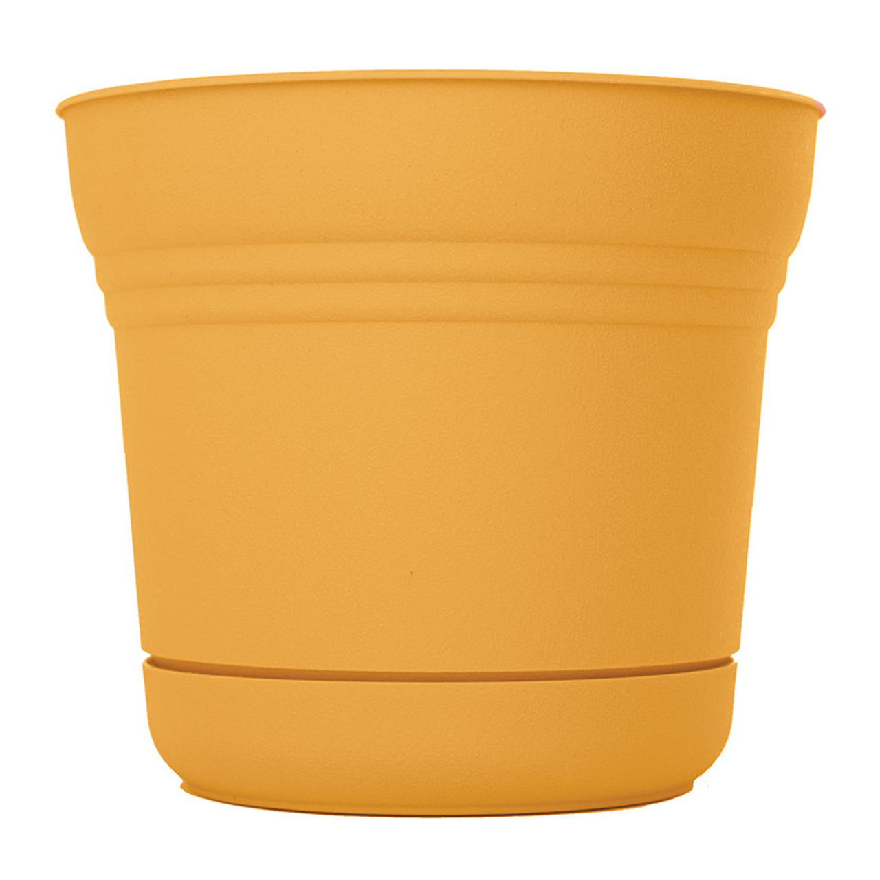 BLOEM LLC SP0723 PLANTER W/SAUCER EARTH YEL 7IN