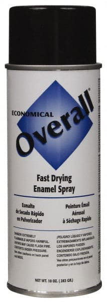 RUST-OLEUM V2402830V COATINGS