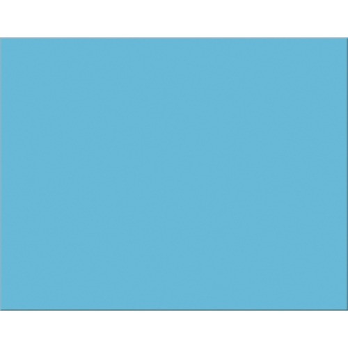 PACON CORPORATION 54841 RAILROAD BOARD, 22"X28", LIGHT BLUE
